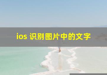 ios 识别图片中的文字